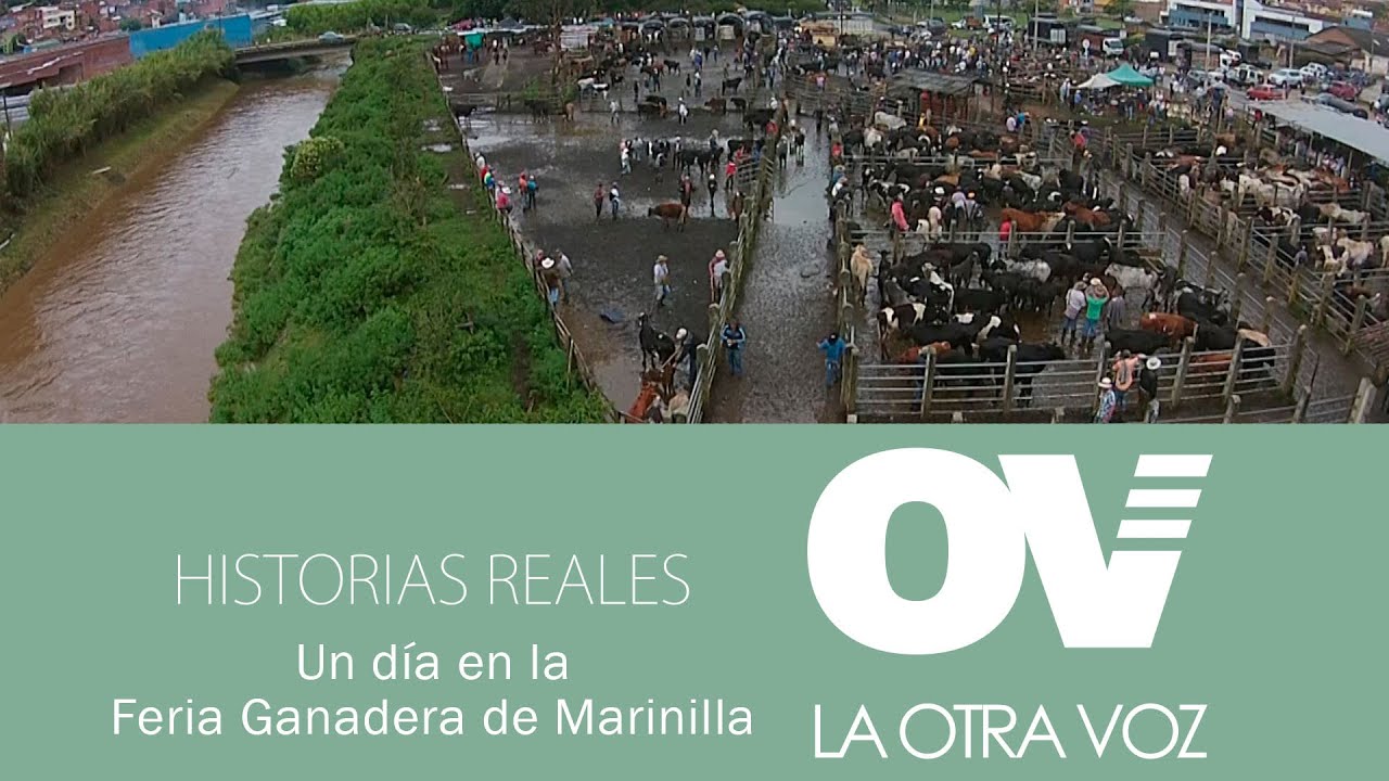 Feria Ganadera de Marinilla