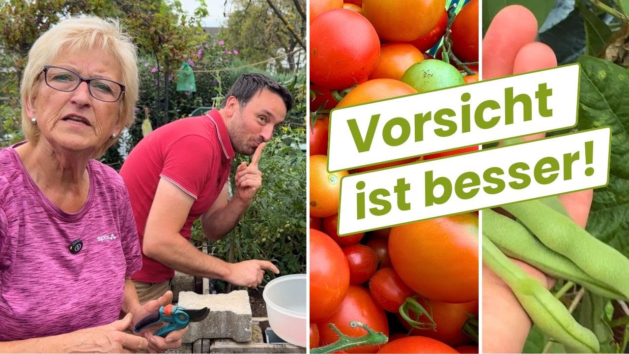 Da kommt was! Das hat nichts mit Hysterie zu tun (Garten Vlog)