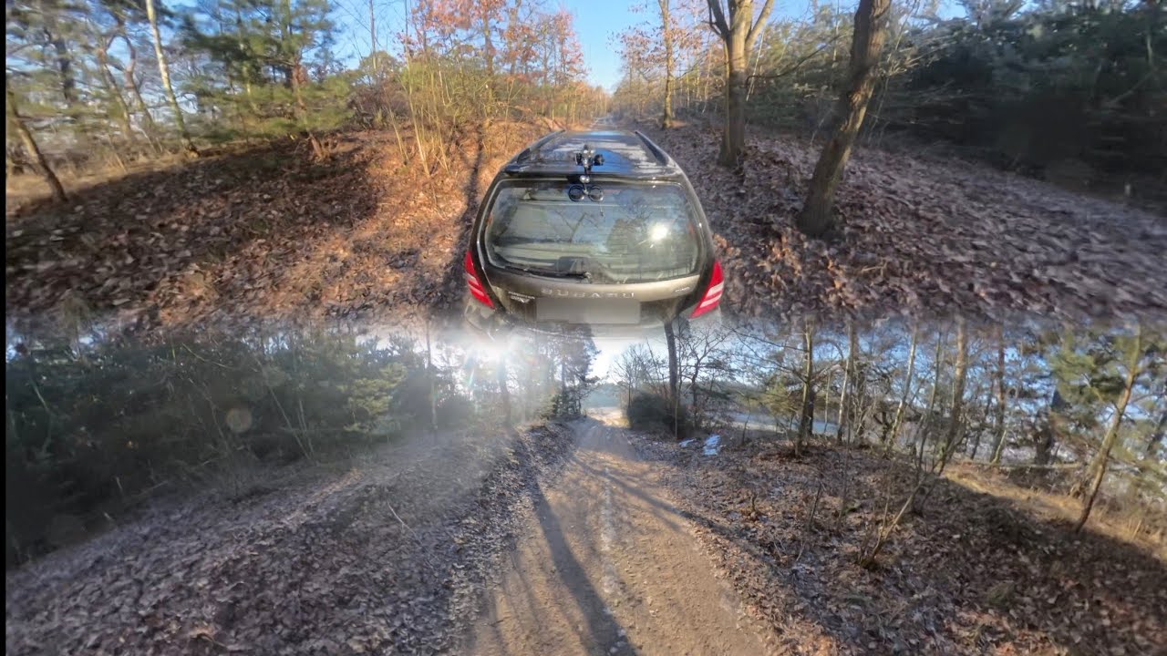 Sit back and relax - chill drive throught the forest and lake with subaru forester
