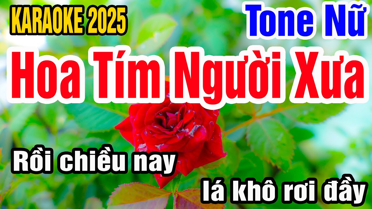 Karaoke Hoa Tím Người Xưa Tone Nữ Nhạc Sống gia huy beat