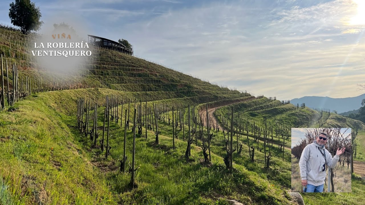 La Roblería: ¡El Mirador del Valle que No Te Puedes Perder - Viña Ventisquero!