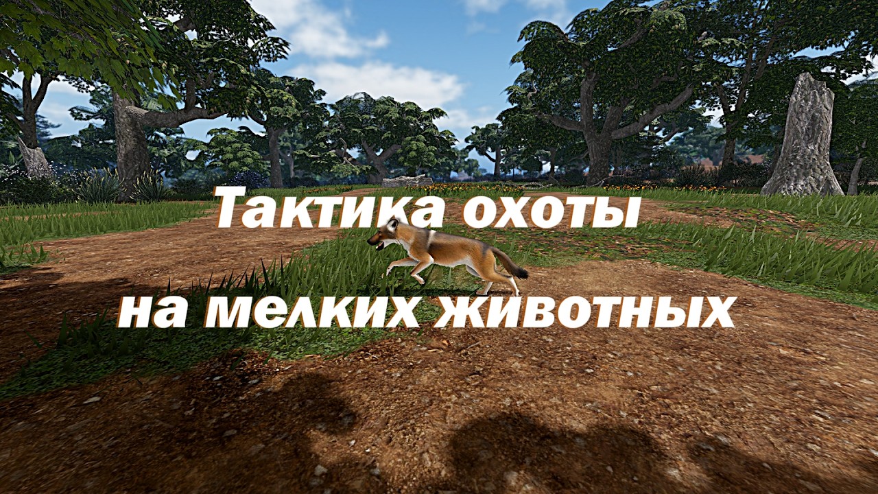 Ecos: Охота на мелких животных | Ecos: La Brea