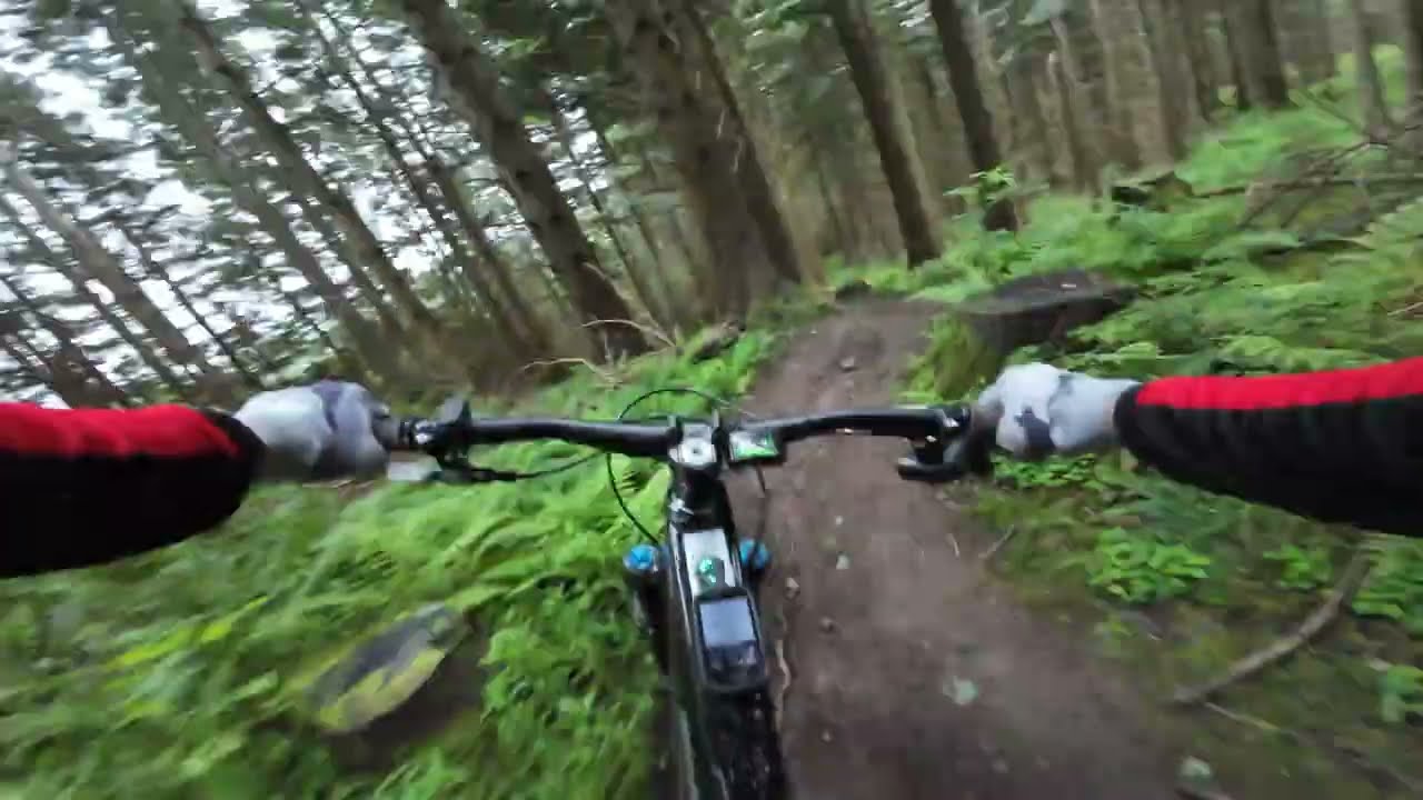 Thornielee / MTB Scotland