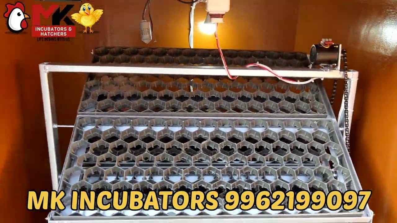 best 1000 eggs  poultry incubator namakkla #incubatorintamil #inkupator