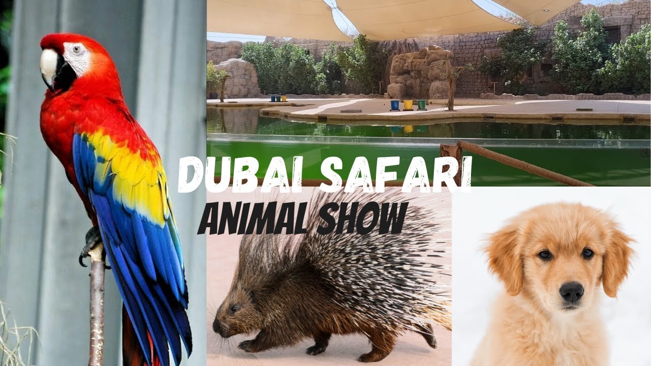 Dubai Safari Park Animal Show at the Asia Village theatre