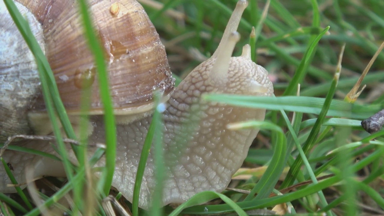2018 07 12 W drogę