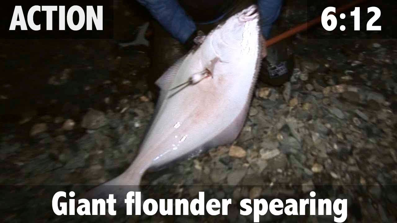 Giant Flounder Spearing!