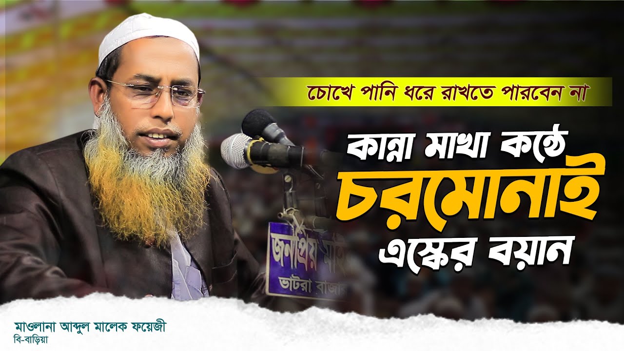 কান্না মাখা কন্ঠে চরমোনাই এস্কের বয়ান আব্দুল মালেক ফয়েজী বি বাড়িয়া New Waz 2025