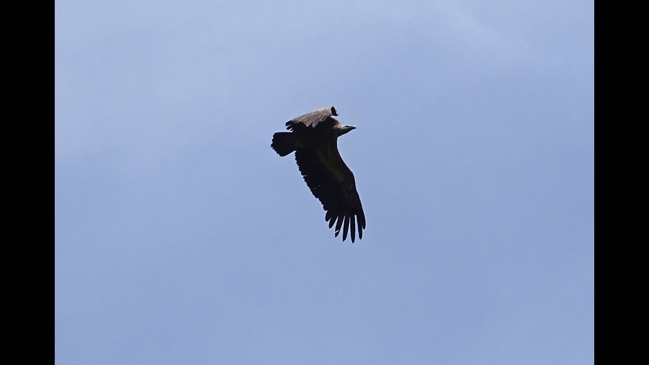La Vallée de l''Alemany (1.979 m) depuis Mantet (1.475 m)