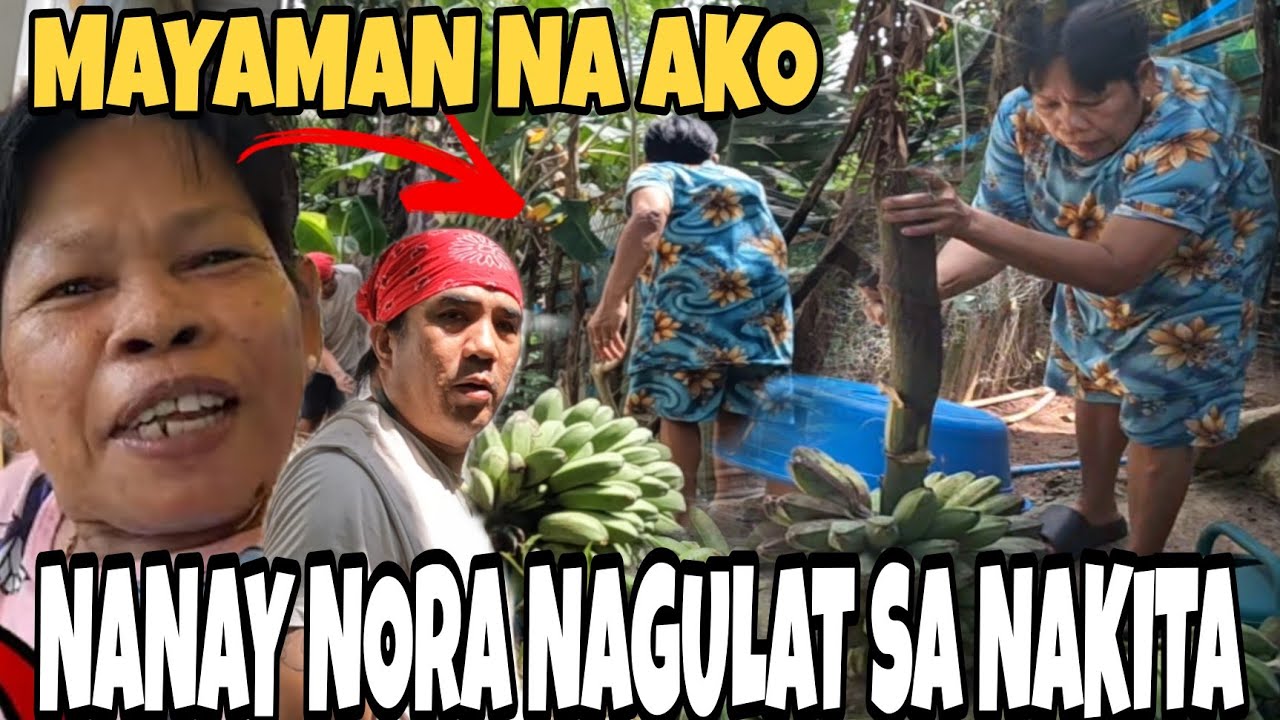 NANAY NORA NAKA JACKPOT TANIM NA SAGING SA LIKOD MAY SWERTING DALA SA BAHAY NILA