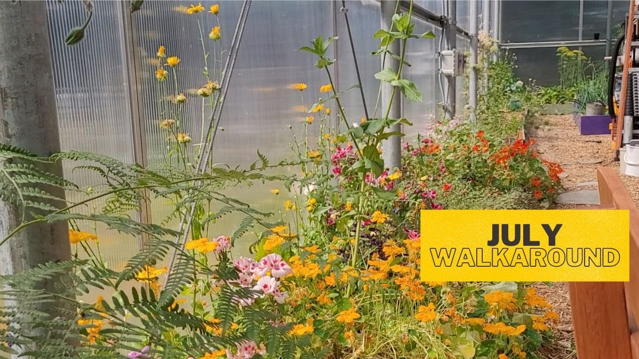 E91 Tiny Home in a Greenhouse | Ran out of water