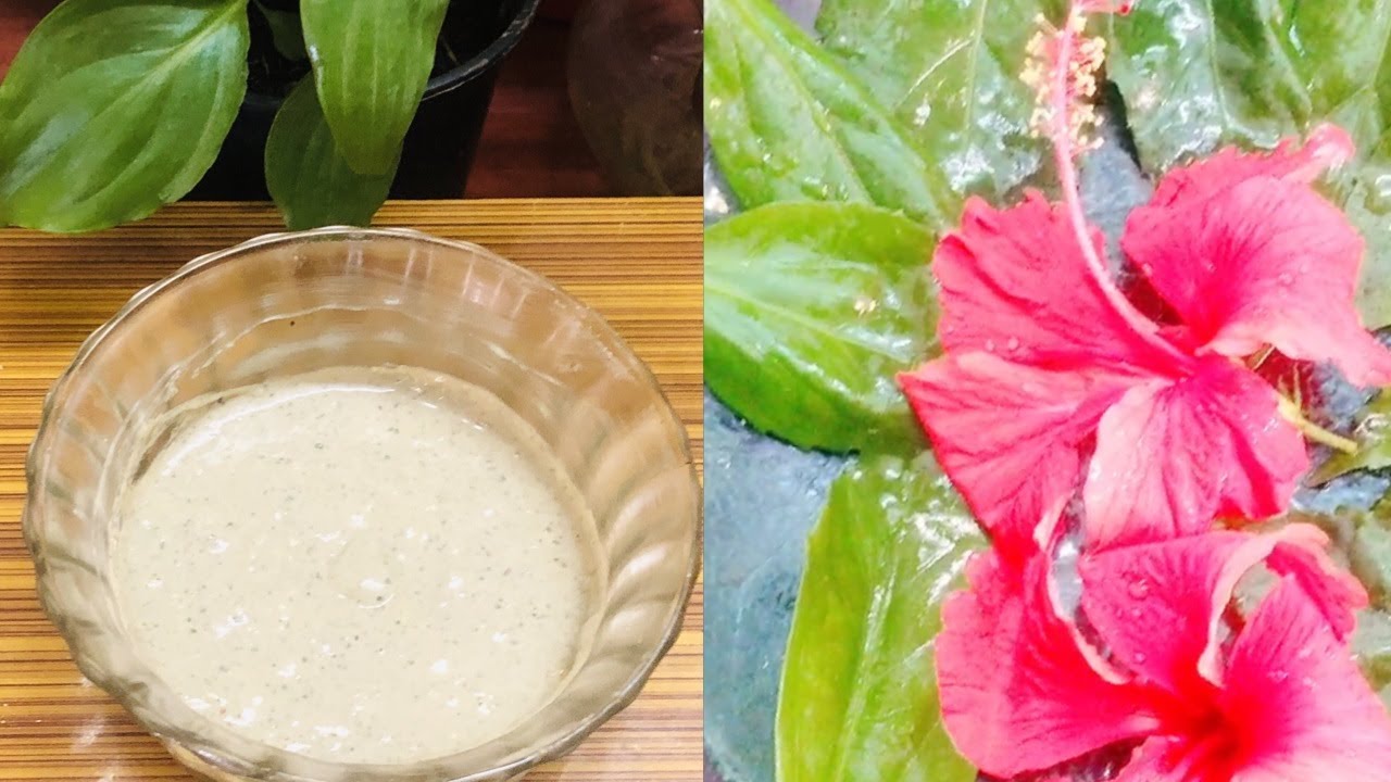 Hibiscus Hair Pack For Hair Growth || DIY Hair Mask for Long Shiny Hair