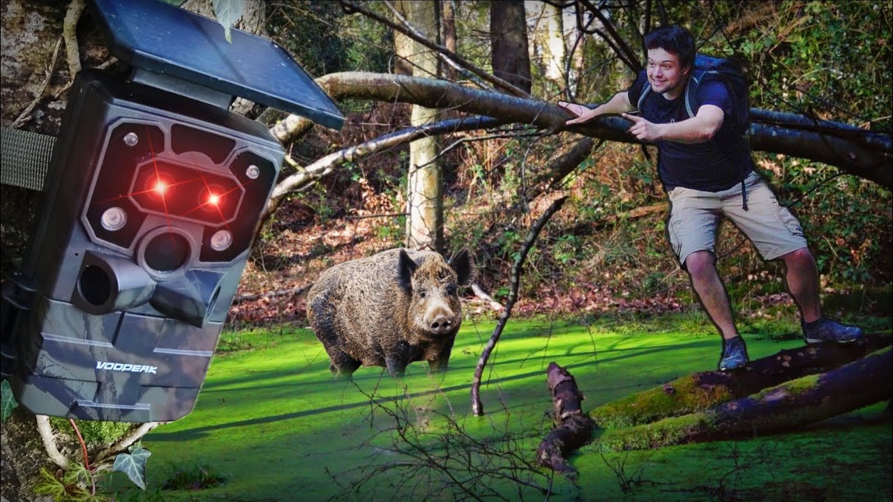 J'ai laissé une caméra dans une mare pendant 400h (Campark TC37 Voopeak)