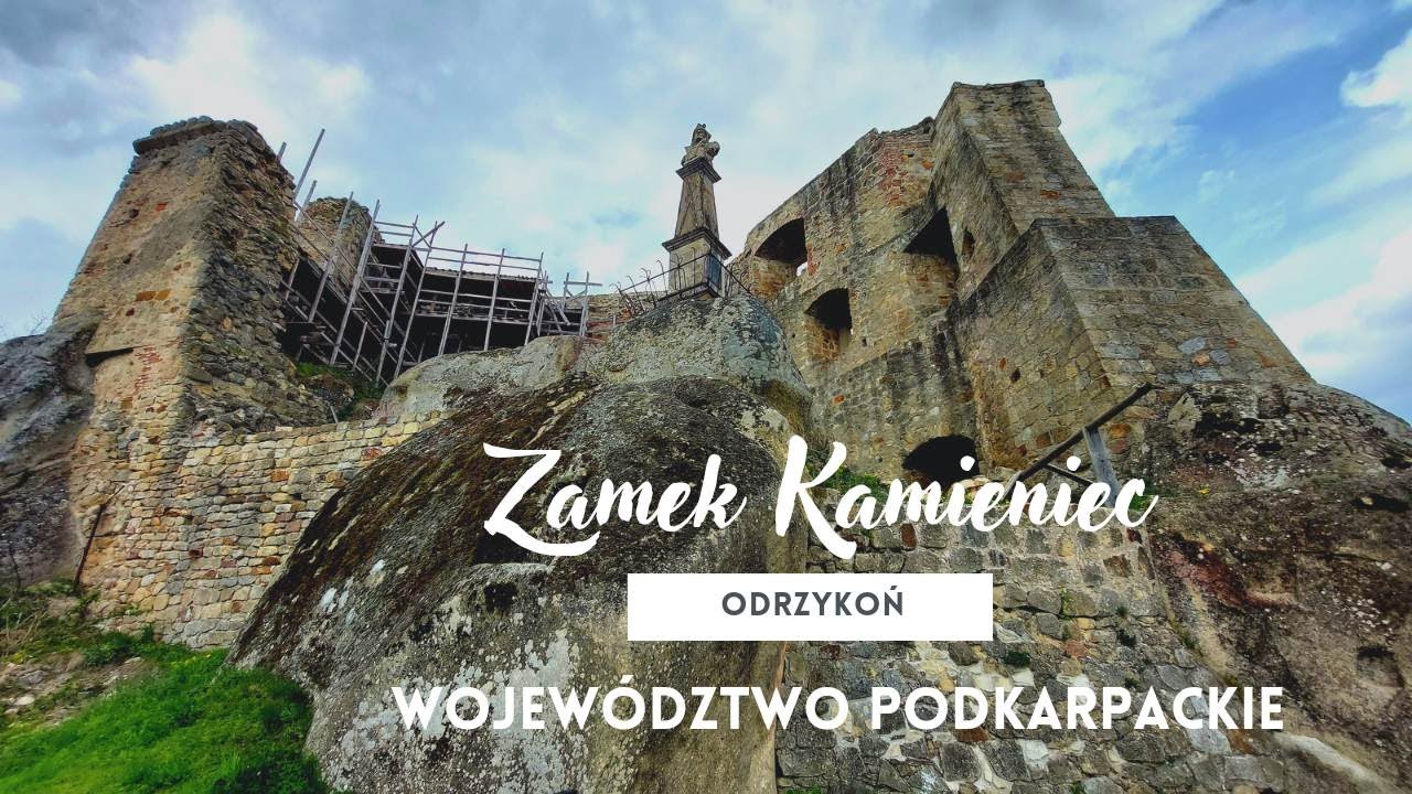 Zamek Kamieniec w Odrzykoniu   - co wspólnego ma z nim Aleksander Fredro ?