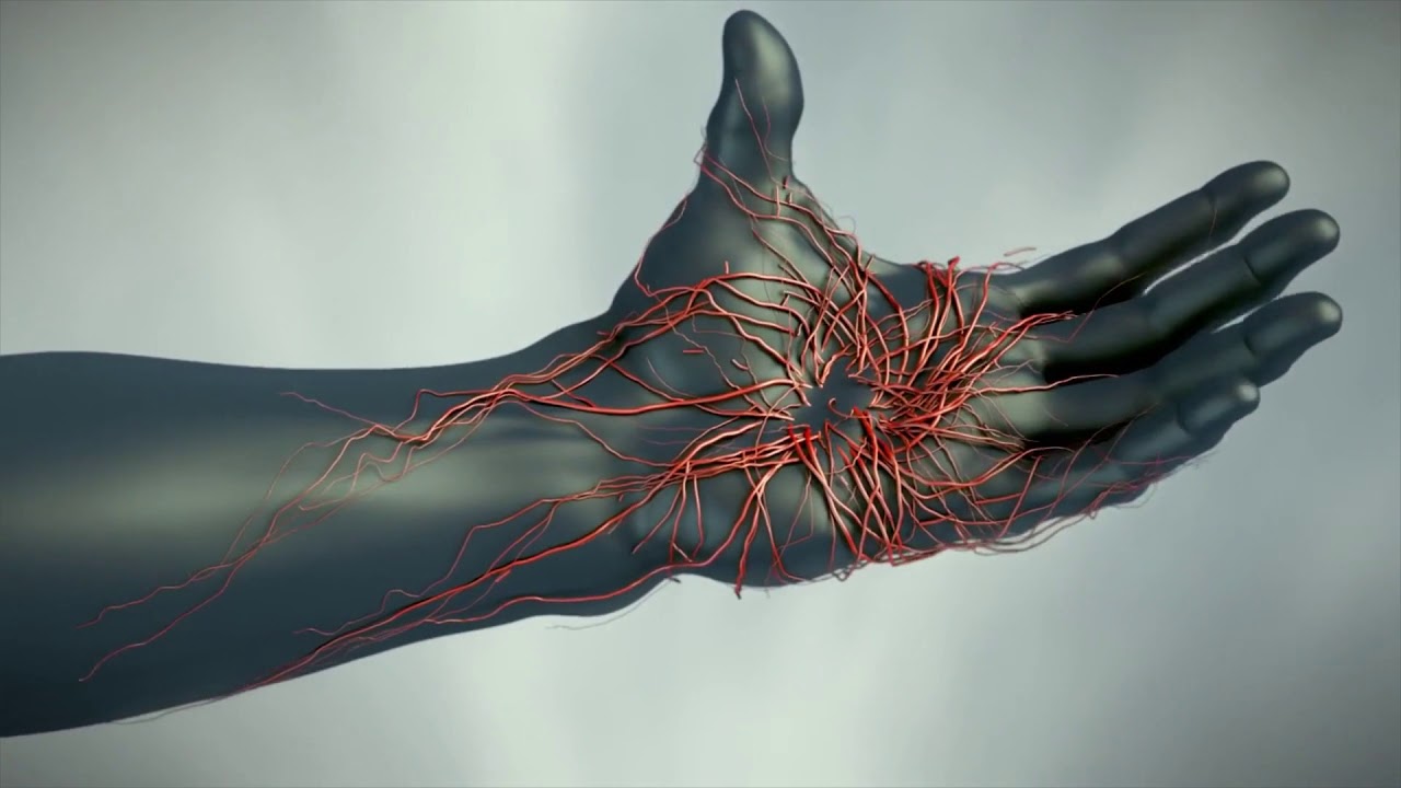 Houdini FX TD Reel