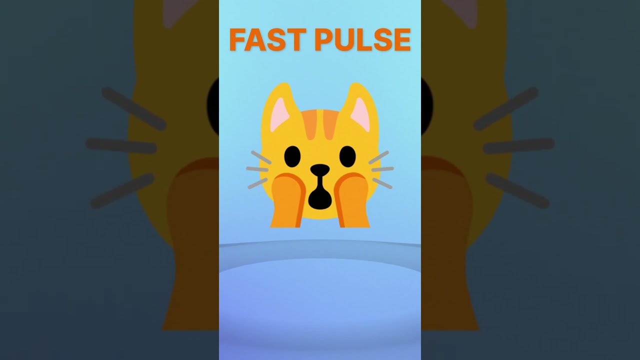 ⚠️ Vibration Sound for your 😺 Strong Pulse #vibration #vibrationsound