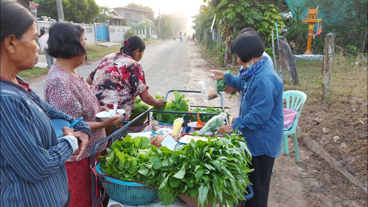 #วิถีชีวิตการขายผลผลิตจากสวนในชุมชนมีผักกาด ผักชี หอมแบ่ง มะพร้าวต้ม #เศรษฐกิจชุมชน