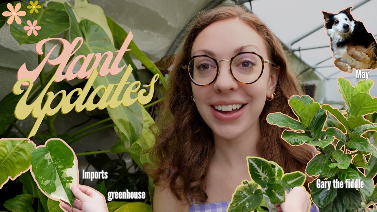 July 2023 Plant Updates | The Greenhouse, Gary, Imports, May