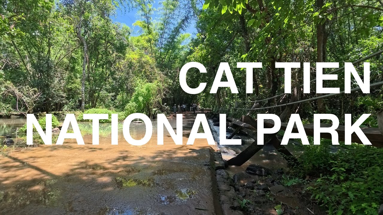 My Trip to Cat Tien National Park, Dong Nai (Vietnam Vlog) | INSTA360 | ACE PRO 2
