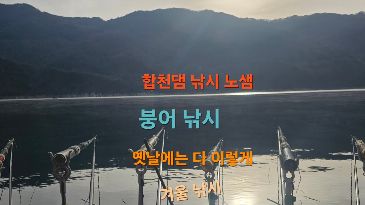 합천댐 낚시 라이브 스트리밍 중/겨울 붕어 낚시 깊은수심 #낚시 #fishing #예민한체비