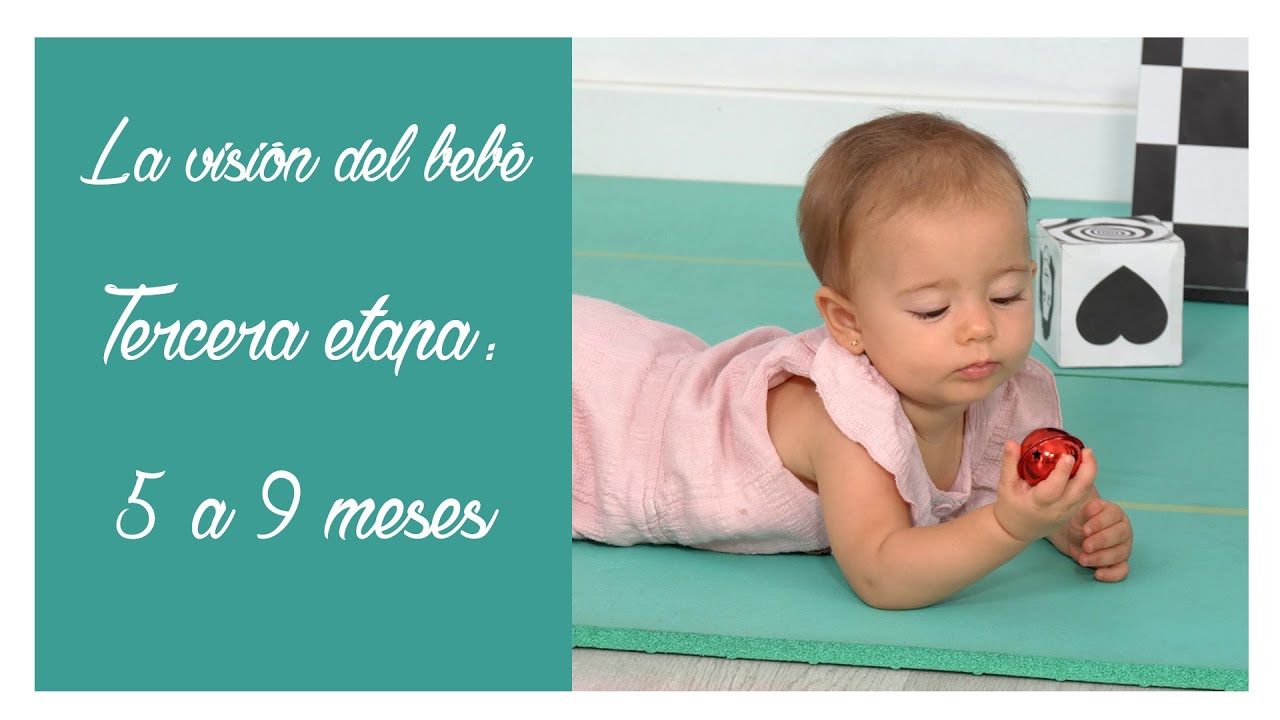 La visión del bebé 👶🏻 Tercera etapa. Entre 5 y 9 meses.