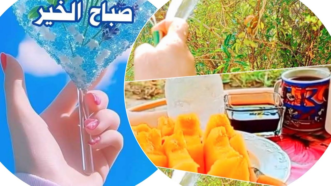 روتين الصباحي في ايام العطله