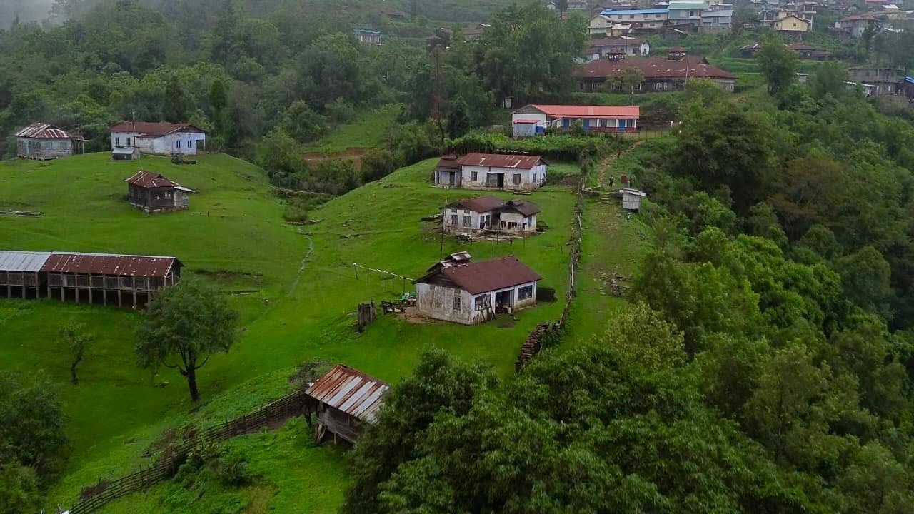 Popular Sheep 🐑 farm in Nagaland  : Peren Nagaland