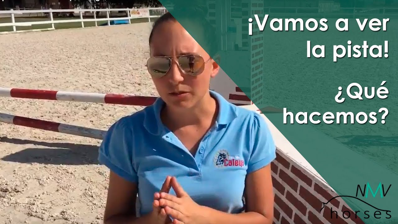 ¡Vamos a ver la pista! ¿Qué hacemos?
