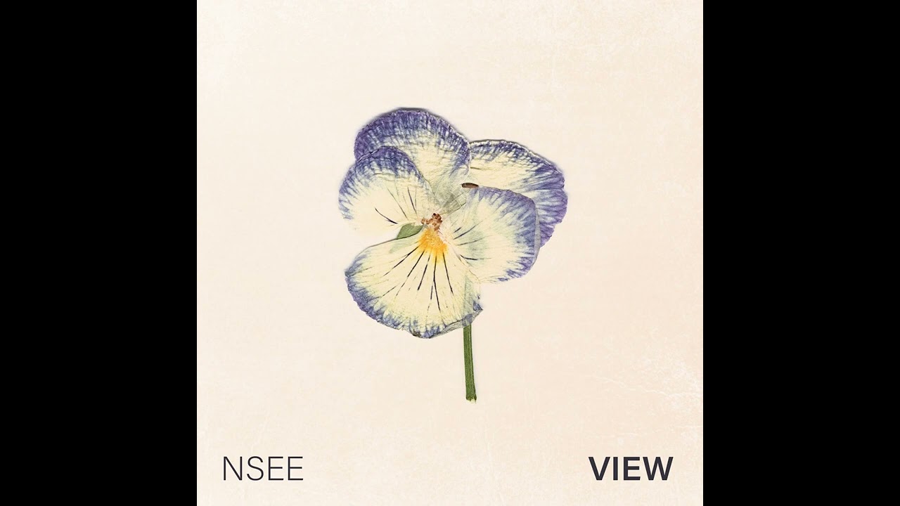 Nsee - Frozen Lake (Artlist)