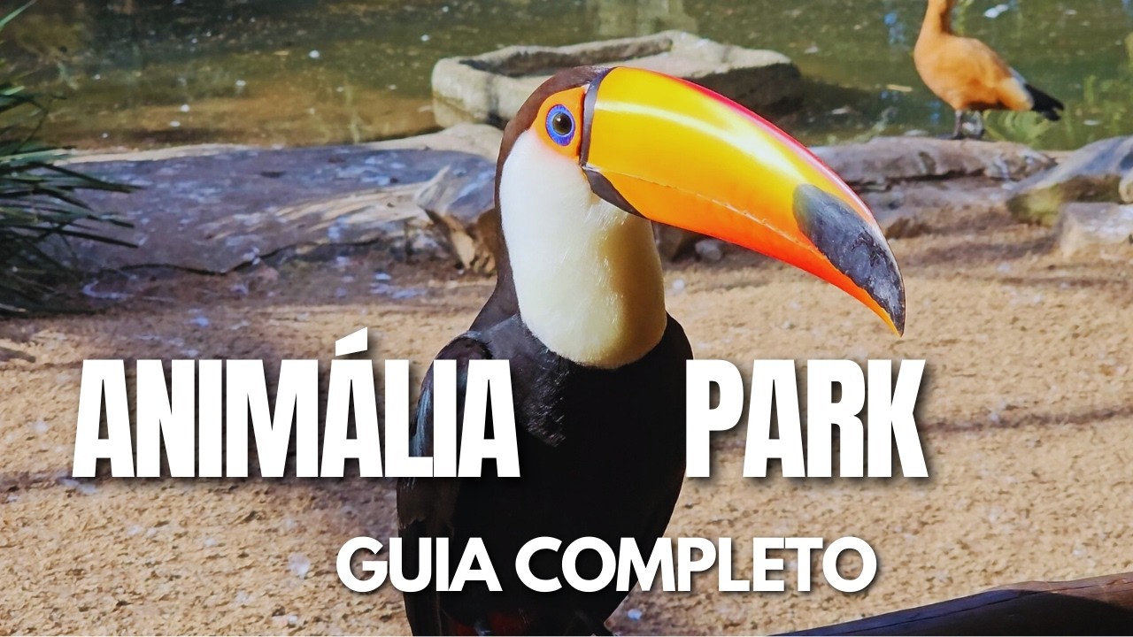 ANIMÁLIA PARK: O parque mais diferente de São Paulo - GUIA COMPLETO - Por Tati Marmon