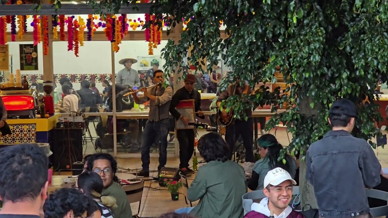 B0mb4 en la UNAM un día después | Facultad de Ciencias | Solo fue la amenaza