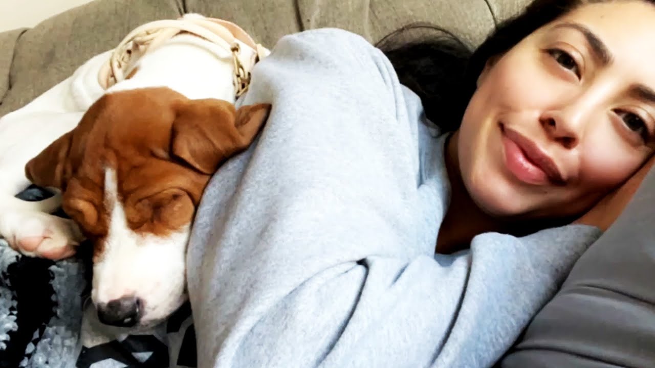 Woman Finds Dog She Thought Was Euthanized Up for Adoption