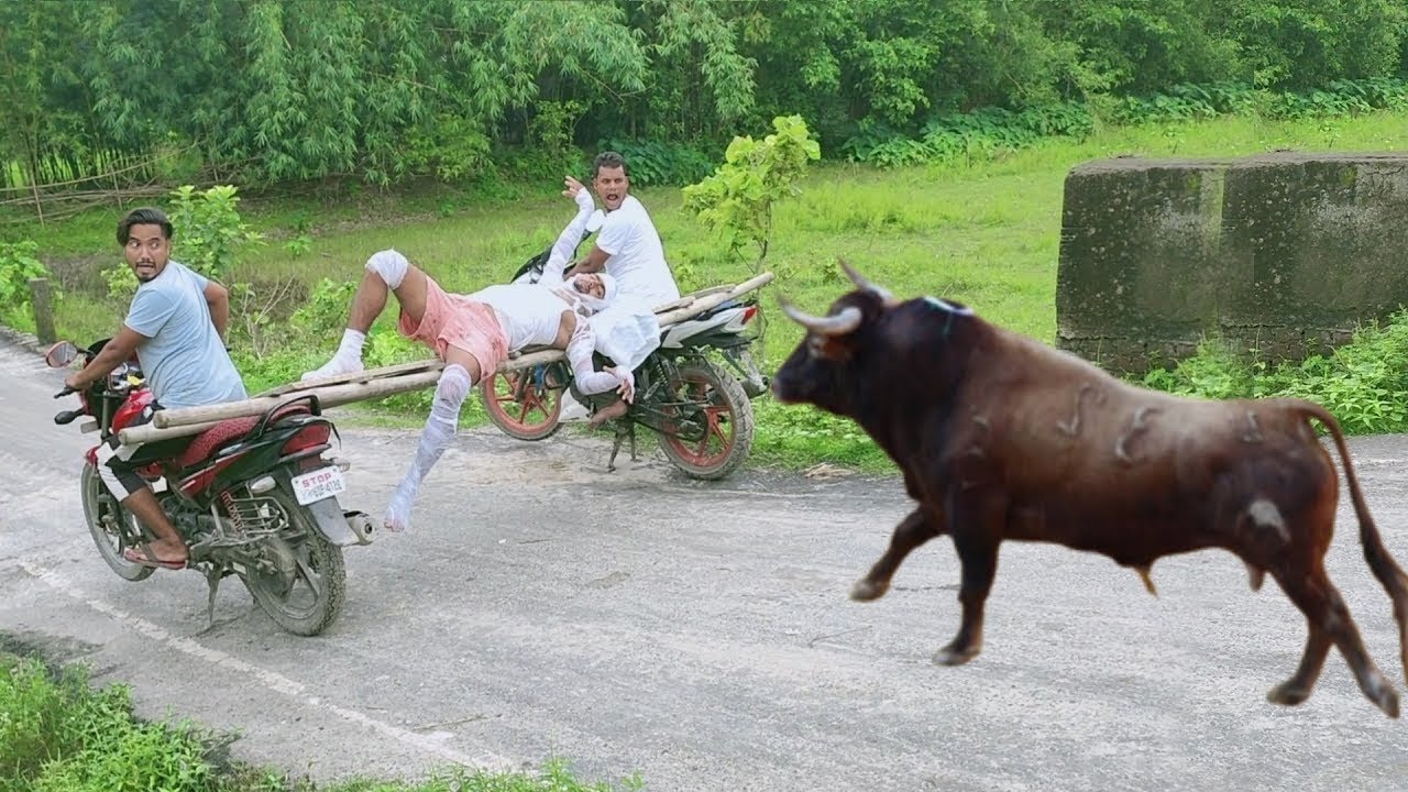 New Trending Comedy Video 2024 😂 Amazing Funny Video Episode 182 By Our Fun