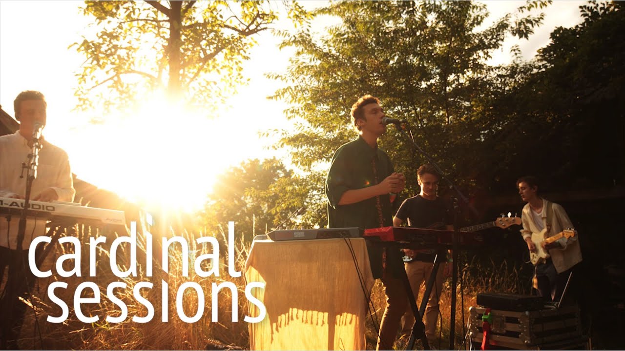Tora - Sugar Snap - CARDINAL SESSIONS (Haldern Pop Special)