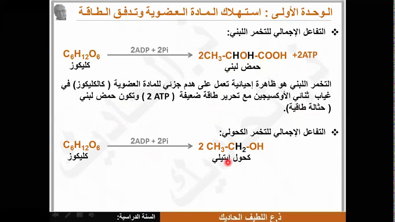 (SVT 2 bac) Fermentation - Rendement &Eacute;nerg&eacute;tique  التخمر- المردود الطاقي