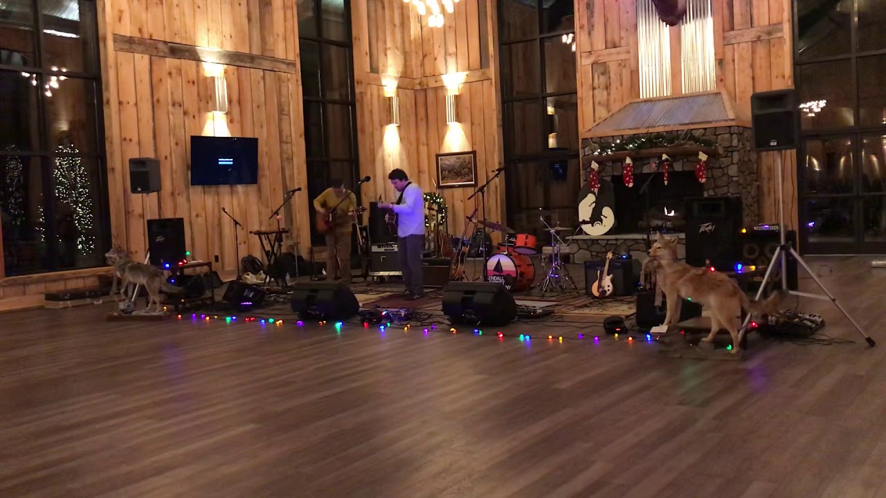 Honest Cons - Awfully Suspicious Acoustic
