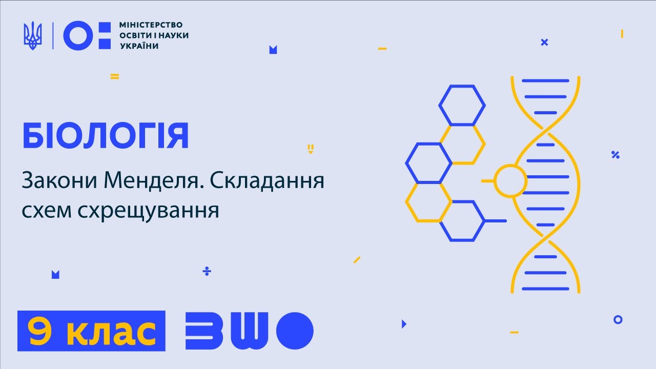 9 клас. Біологія. Закони Менделя. Складання схем схрещування