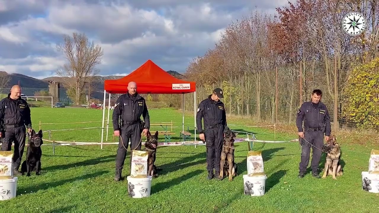 Policie ČR: Na Chovatelské stanici v Prackovicích se uskutečnil svod mladých služebních psů.