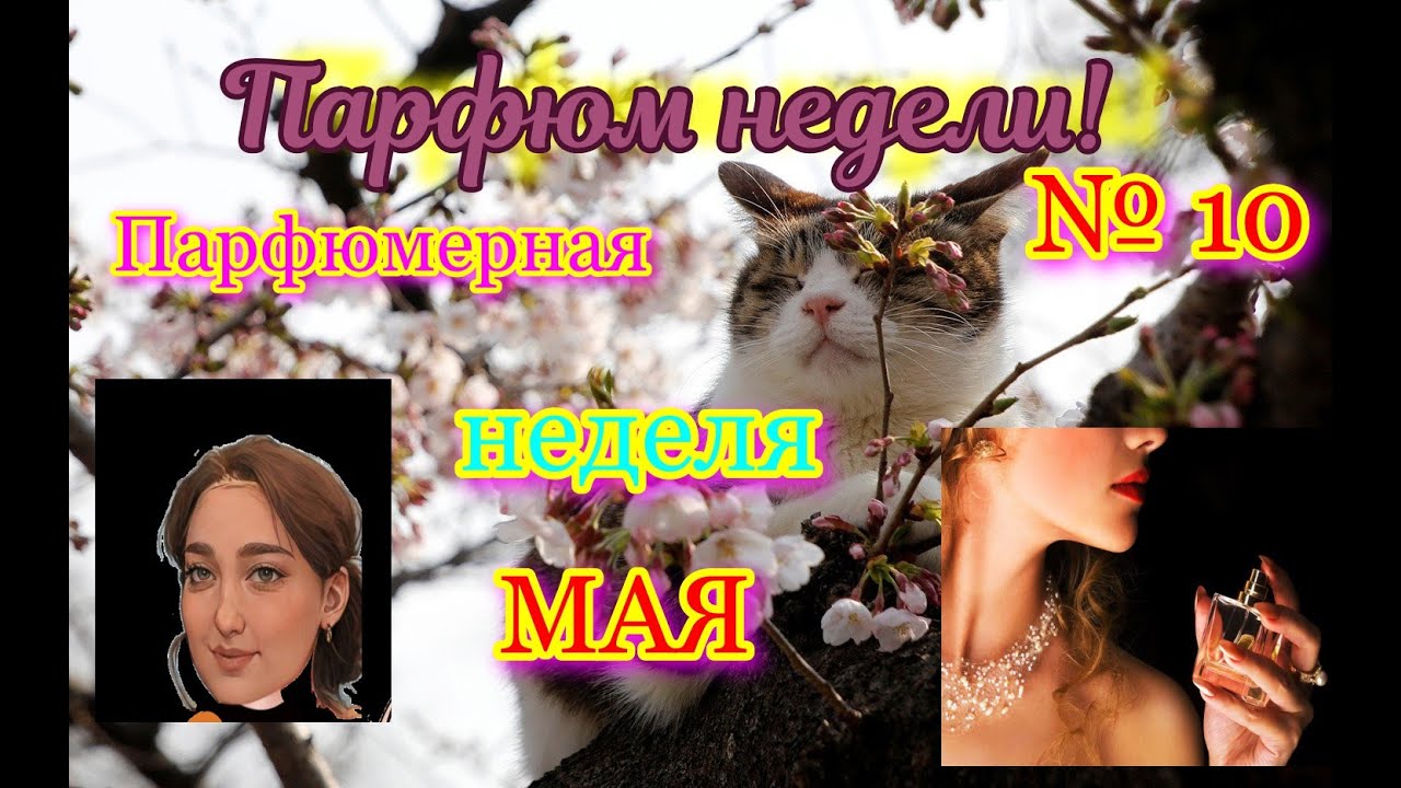 Парфюмерная неделя №10. Ароматы недели в  мае! #парфюмерия #ароматынавесну