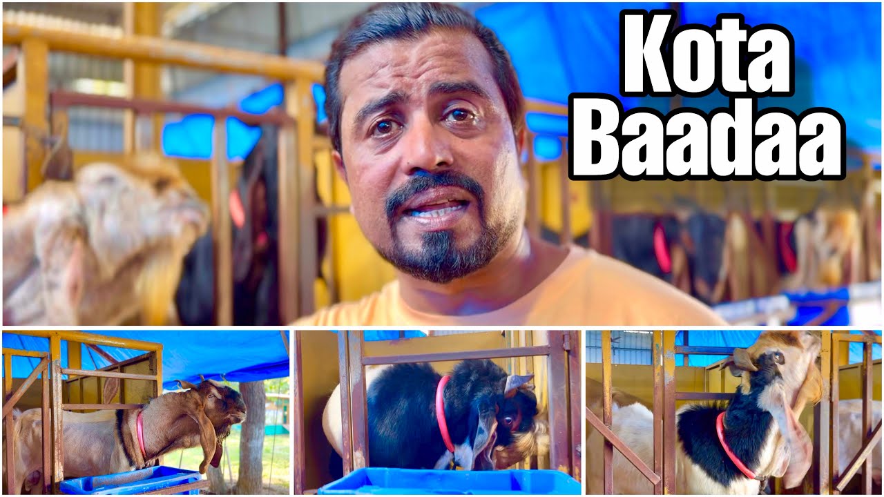 RK Goat Farm Series Ep 5 | Kota Baadaa Tour