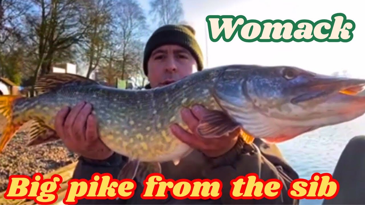Big pike from the boat on lures Womack river thurne Norfolk broads predator lure angling