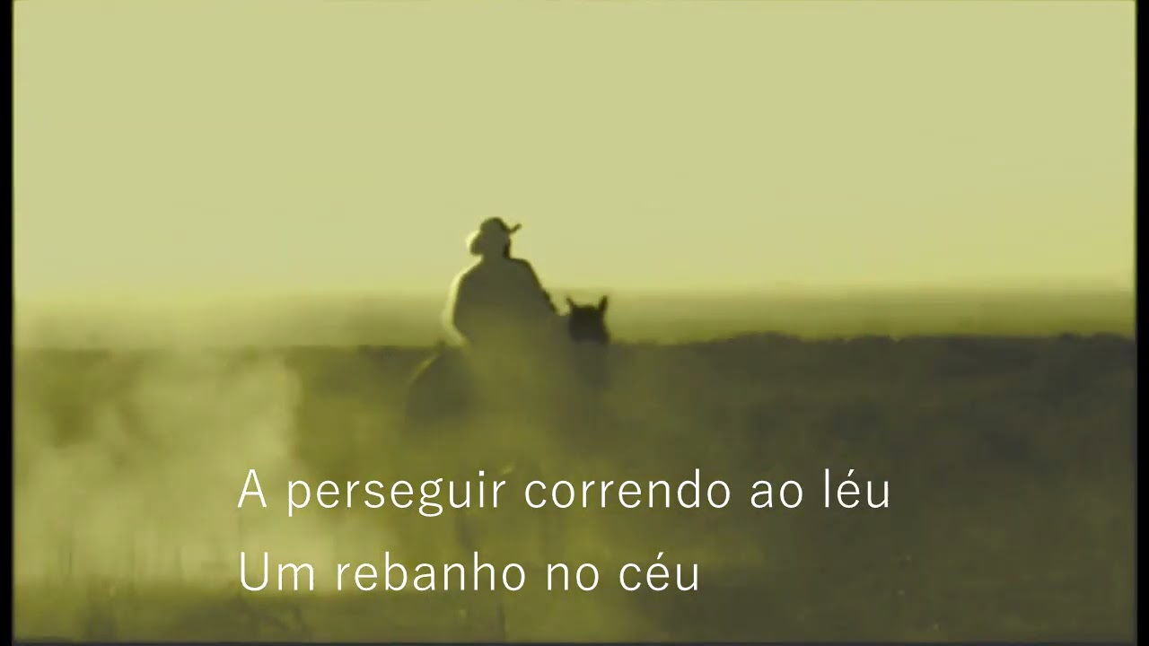 GHOST RIDERS IN THE SKY (Cavaleiro dos céus ) cover