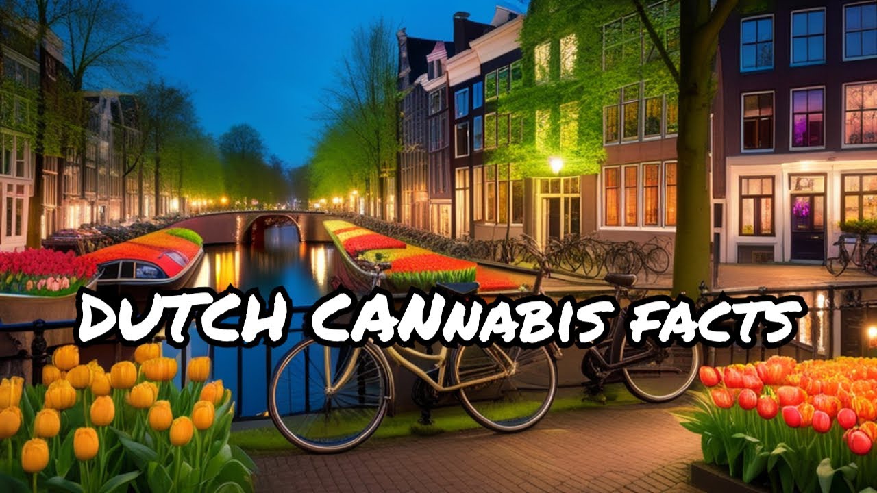 21 Revealing Facts About Cannabis in the Netherlands