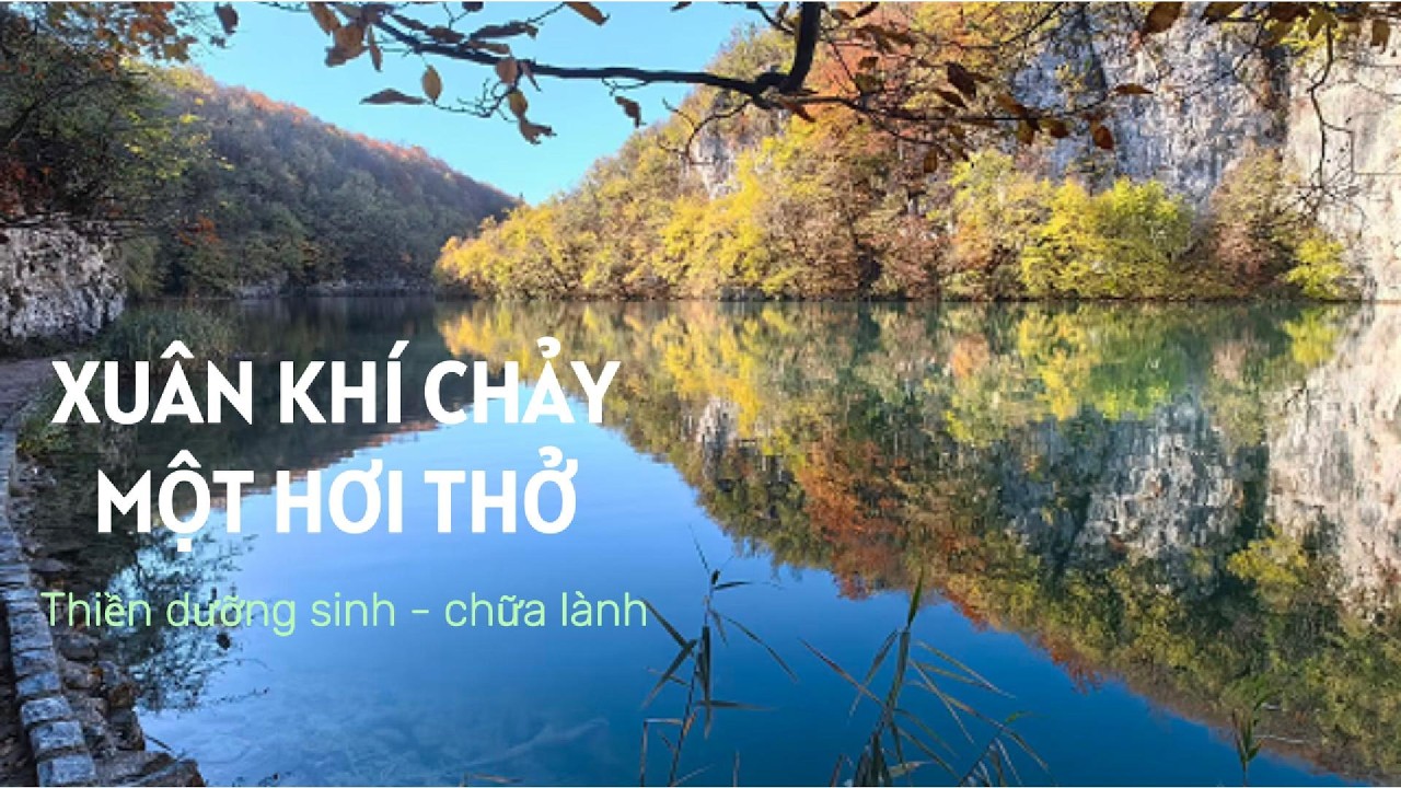 Xuân Khí Chảy – Một Hơi Thở | Nhạc Thiền Thư Giãn, Chánh Niệm & Chữa Lành