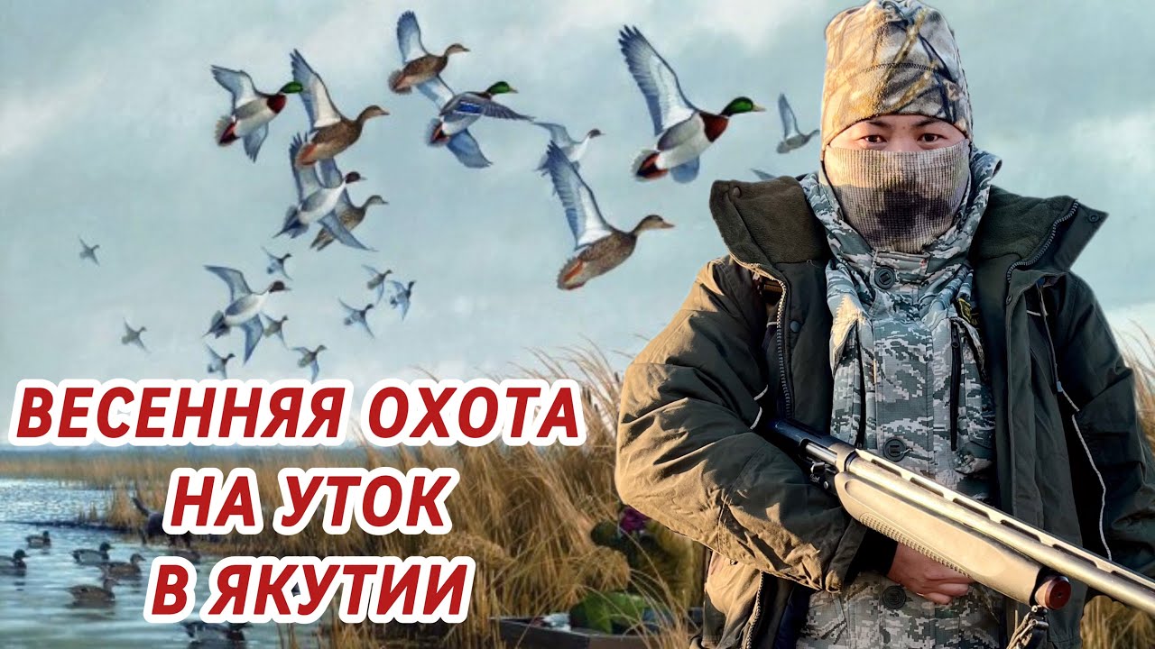 ВЕСЕННЯЯ ОХОТА НА УТОК В ЯКУТИИ | СААСКЫ КУС | 2022