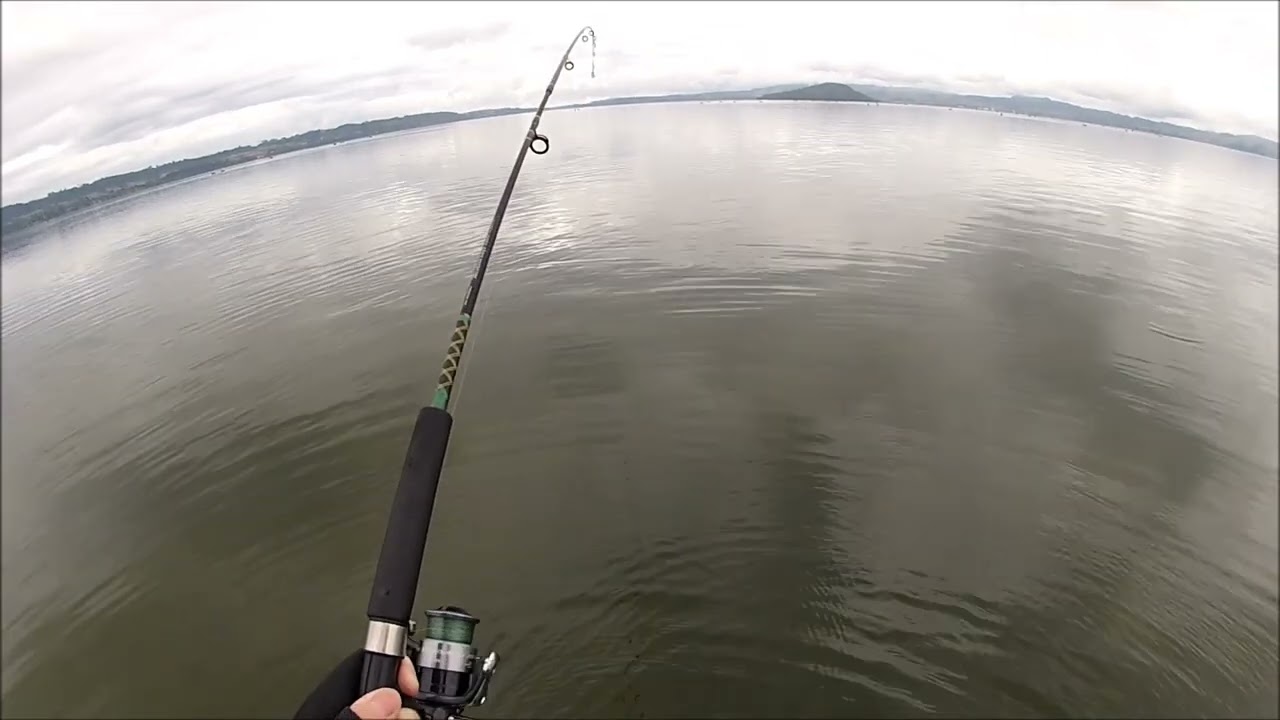 NEW ZEALAND TROUT FISHING SIMPLE AS THAT 2