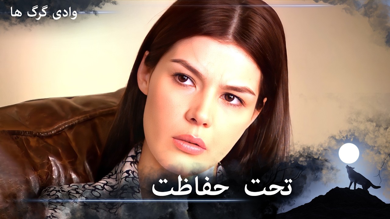 سریال دره گرگ‌ ها 105. قسمت - پولات، ابرو را به شکلی امن به خانه می‌آورد