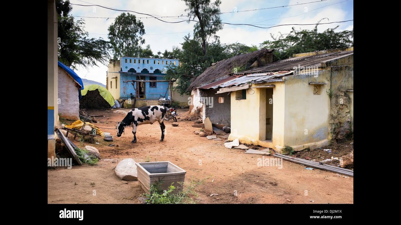 गांव की सुंदरता😘😍🌹 शुद्ध हवा Natural 4k video #tour #tourism #गांव_का_गीत #villagelife #village