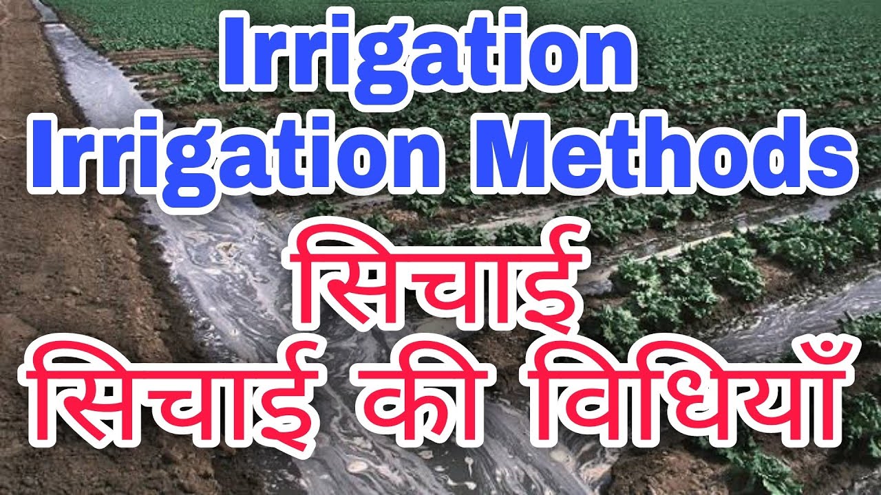 Irrigation, Irrigation Methods,सिंचाई, सिंचाई की विधियाँ, Surface Irrigation, Drip Irrigation,