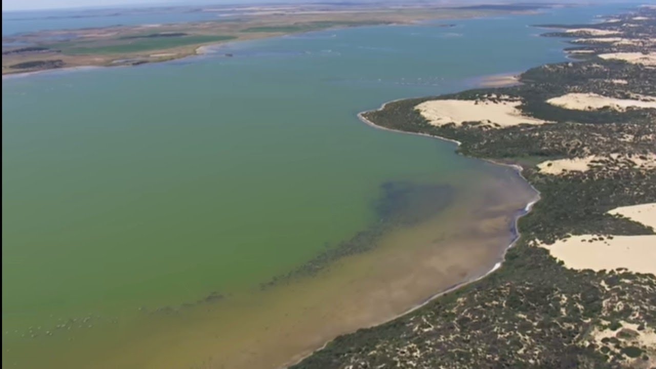 The second angel's message(pillar2).